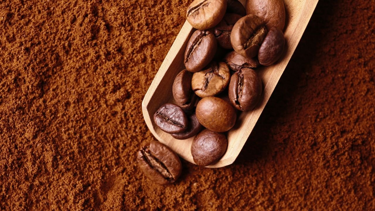 Do Coffee Beans Expire Here s What You Need To Know do-coffee-beans-expire-here-s-what-you-need-to-know