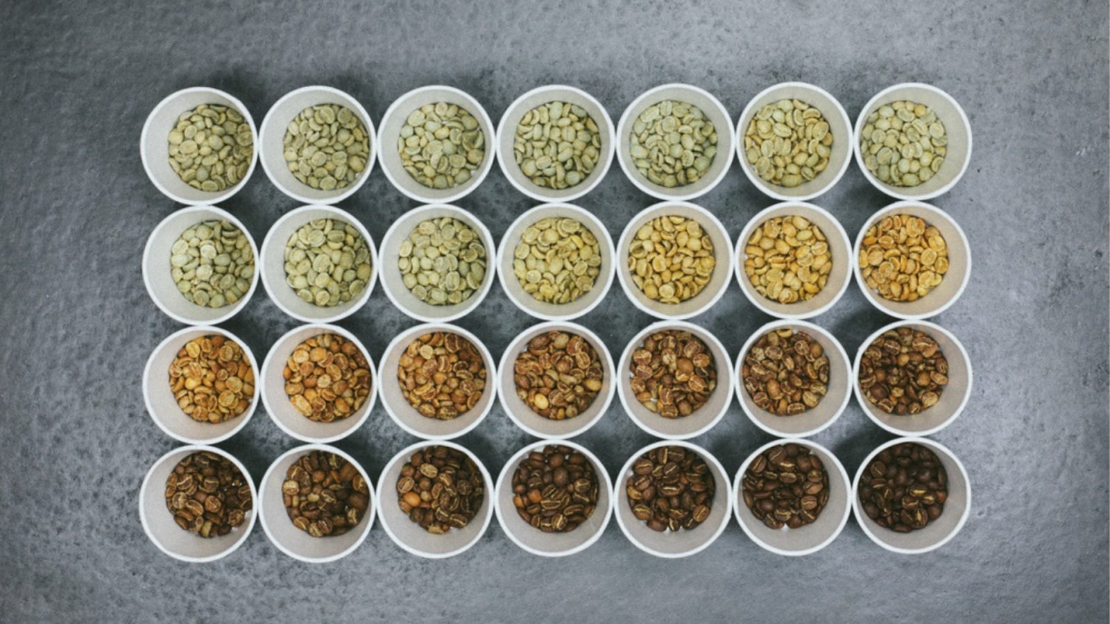 Be The Master! 4 Coffee Roasting Levels Chart W/ Image & Guide FnB