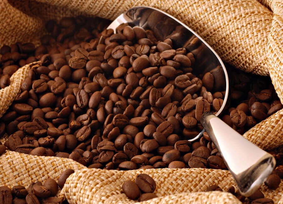 arabica coffe beans indonesia
