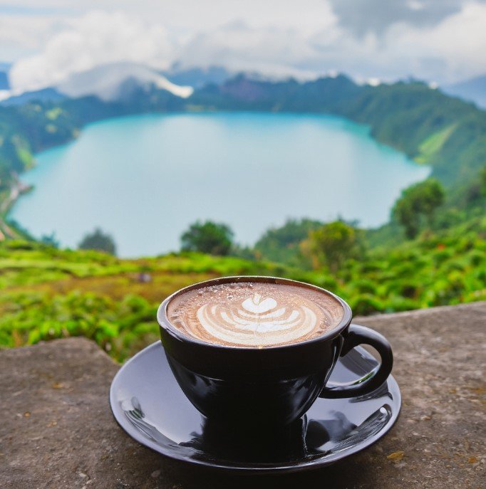 Gayo Coffee