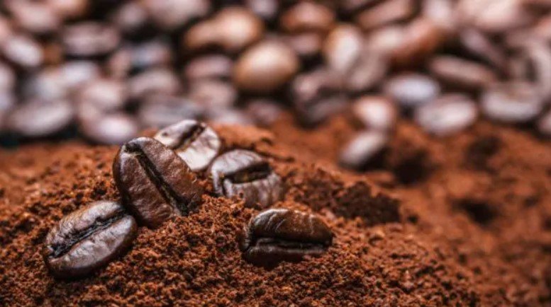 Tata coffee share clearance price today