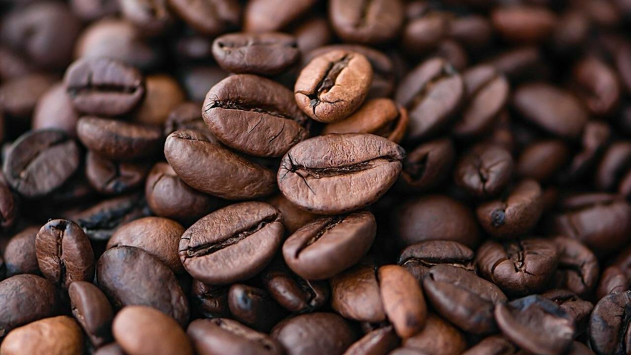 Coffee Bean Freshness