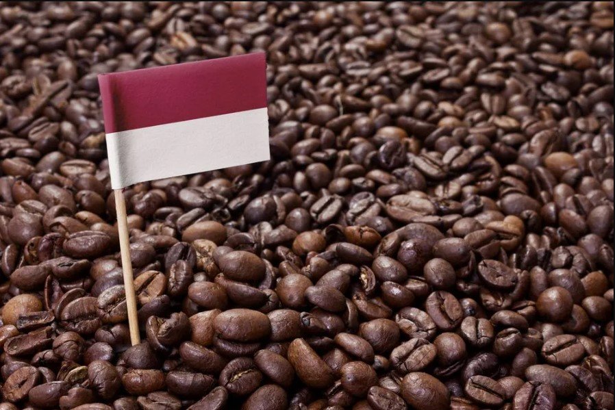 Indonesia's Coffee