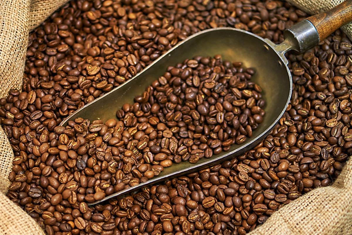 Exploring the Richness of Lampung Coffee: A Taste Journey 2 Richness of Lampung Coffee