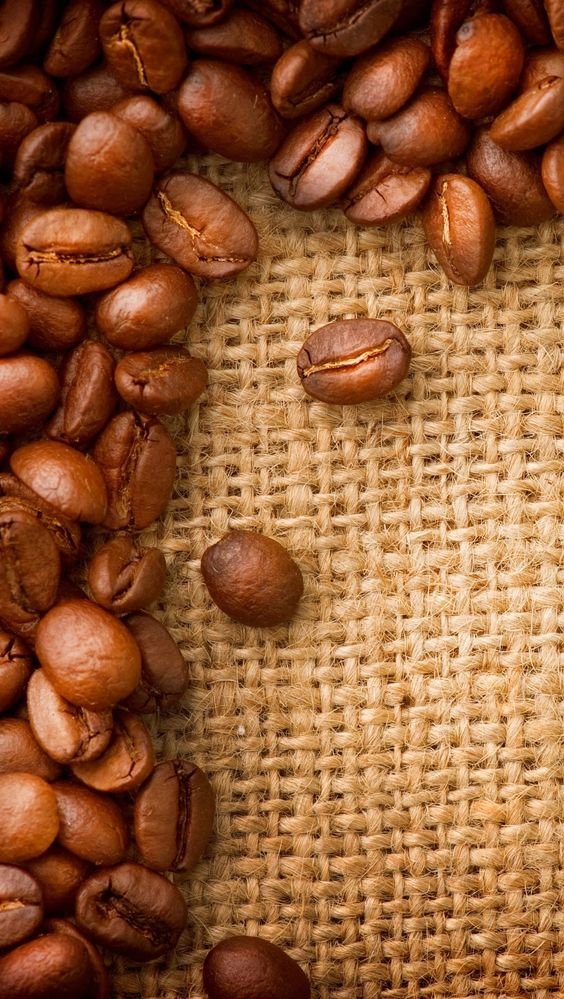 Whole Bean Coffee Suppliers