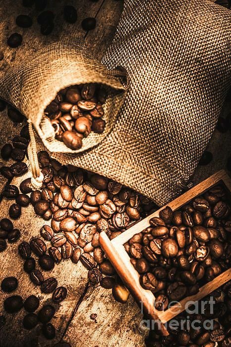 Aceh Gayo Coffee Beans