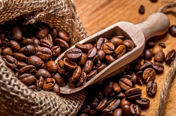 Indonesian Coffee Exporters