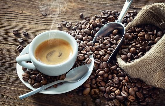 Exporters of Sumatran Coffee Beans