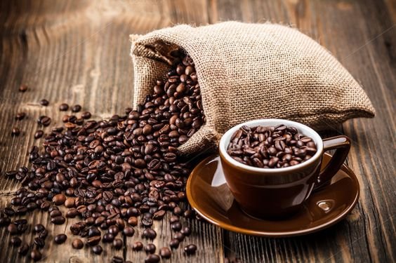 Sumatran Coffee Bean Culture